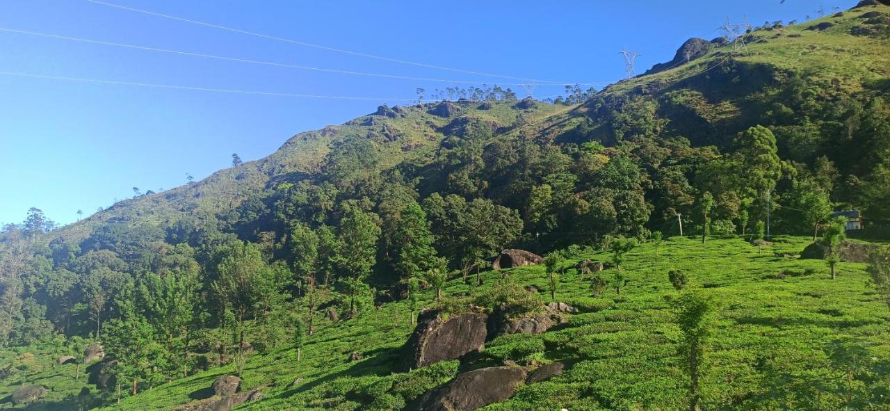 Tea Dale - All Rooms With Tea Estate View Munnar Kültér fotó