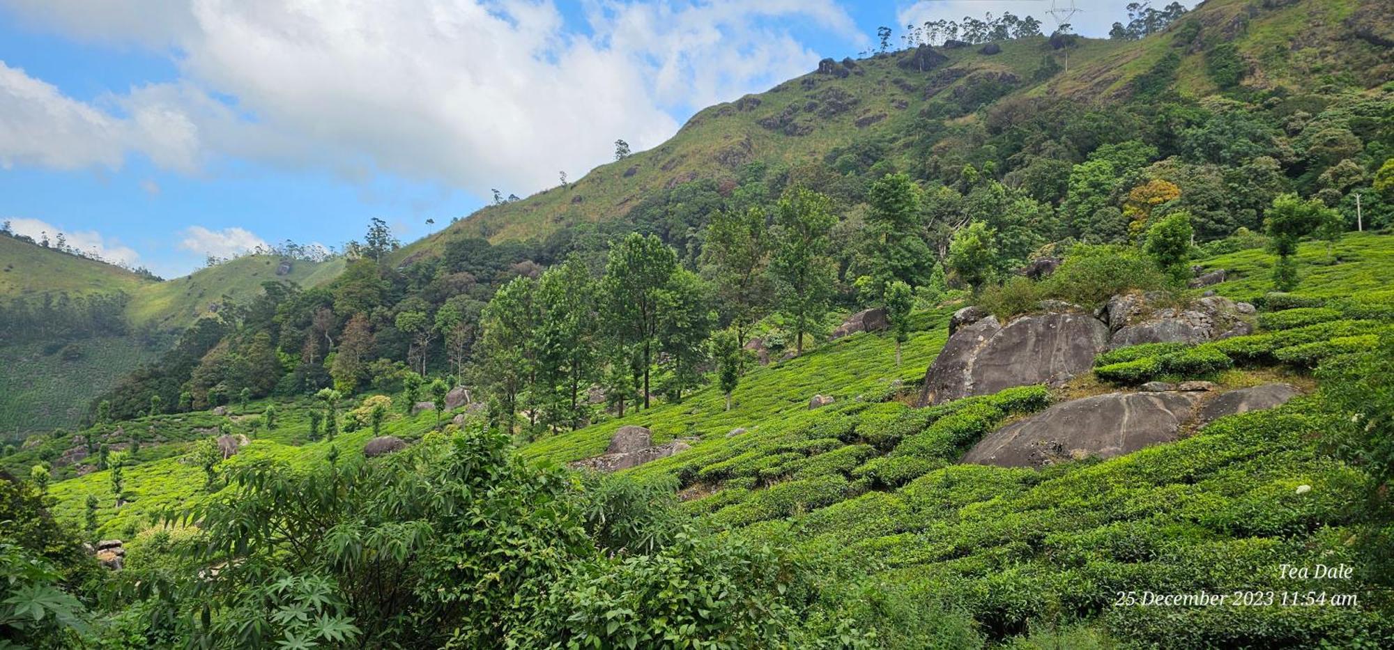 Tea Dale - All Rooms With Tea Estate View Munnar Kültér fotó