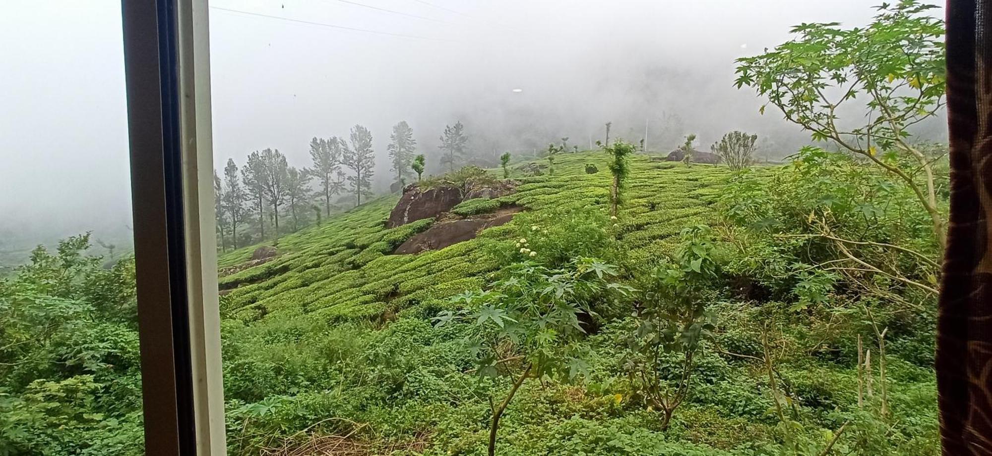 Tea Dale - All Rooms With Tea Estate View Munnar Kültér fotó