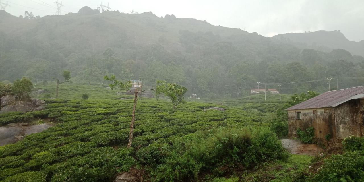 Tea Dale - All Rooms With Tea Estate View Munnar Kültér fotó