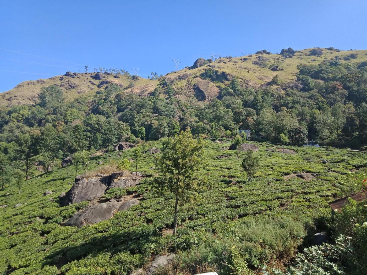 Tea Dale - All Rooms With Tea Estate View Munnar Kültér fotó