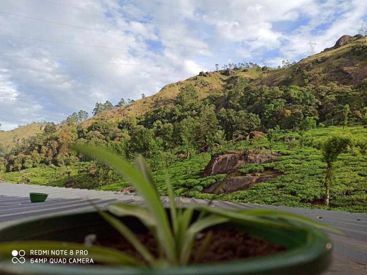 Tea Dale - All Rooms With Tea Estate View Munnar Kültér fotó